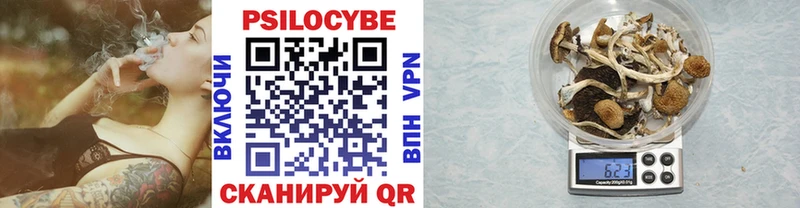 Купить Саров Галлюциногенные грибы Cubensis